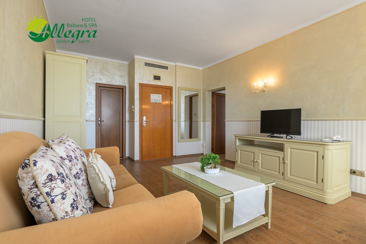 One-Bedroom Apartment 2+2 - 3