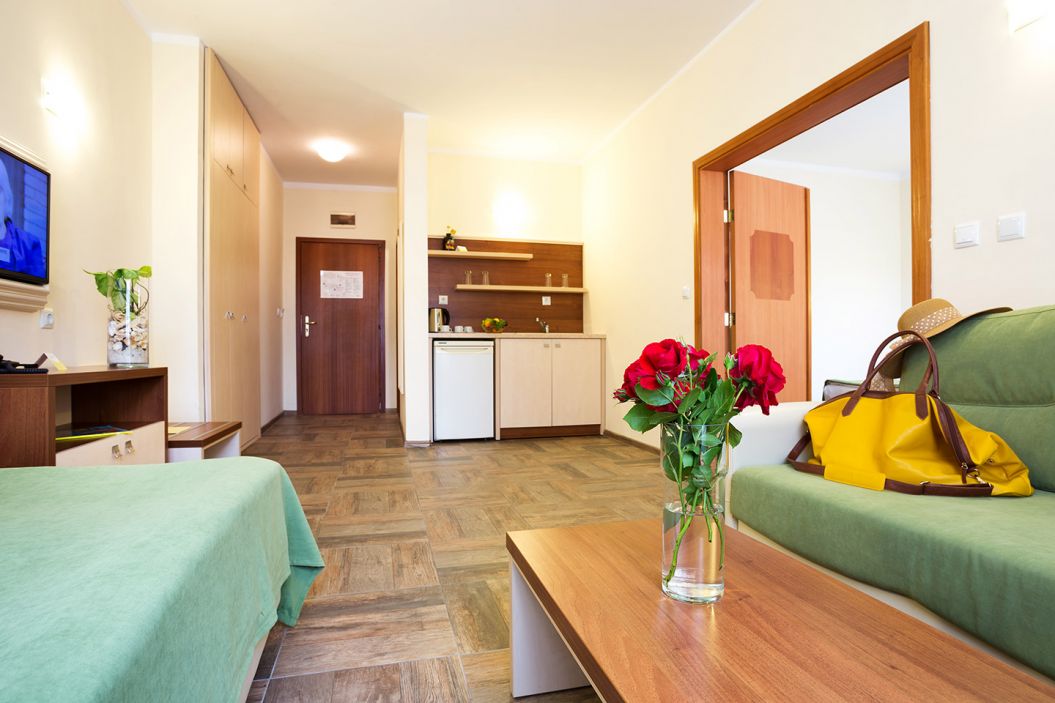 One-Bedroom Apartment 2+3 Superior - 3